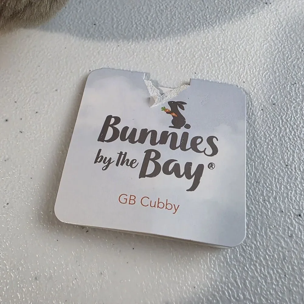 Bunnies By Bay Great Big (GB) Cubby Plush Teddy Bear Stuffed Animal NWOT HTF